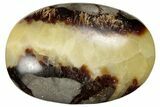 Polished Septarian Stones - 1.5" Size - Photo 2